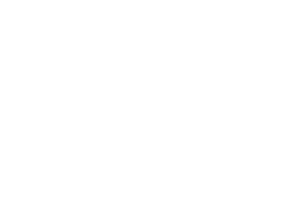 Dansk Sejl & Motor footer logo