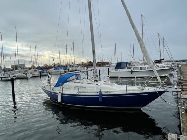 Albin Ballad 30 (HAVNEPLADS) - Billede 2