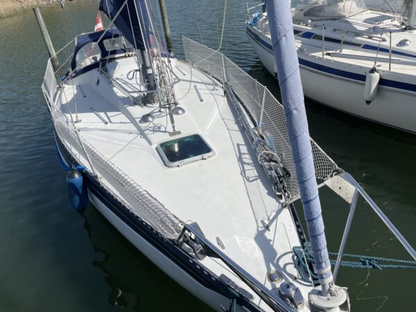Kings Cruiser 33 - Billede 3