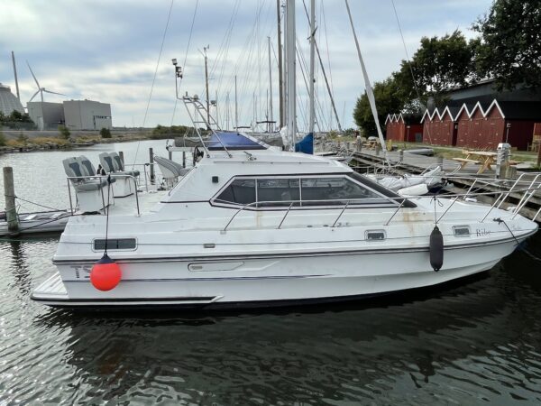Birchwood TS31