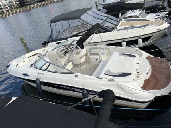 Stingray 235 DR - Billede 2