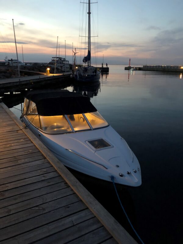 Campion Allente S565 - Image 16
