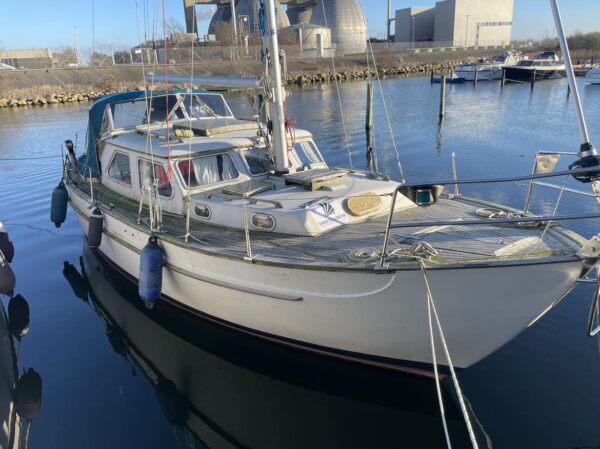 Bianca Queen 33 (Helt nye sejl) - Billede 3