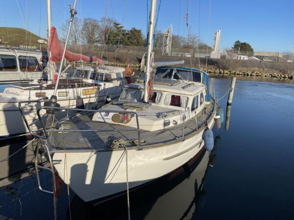 Bianca Queen 33 (Helt nye sejl) - Billede 2