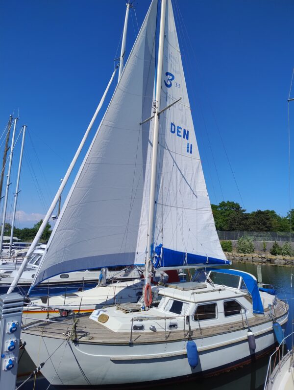 Bianca Queen 33 (Helt nye sejl) - Billede 4