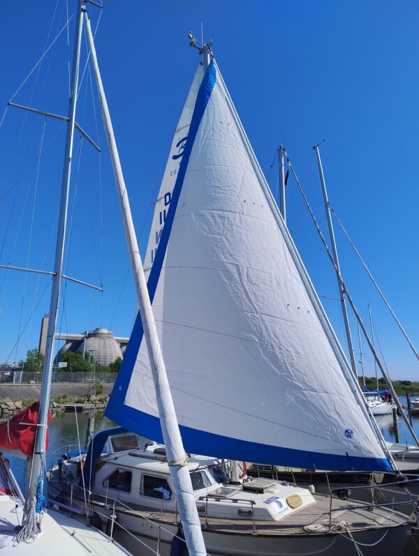 Bianca Queen 33 (Helt nye sejl) - Billede 5