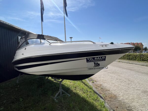 Campion Allente S565 - Image 3