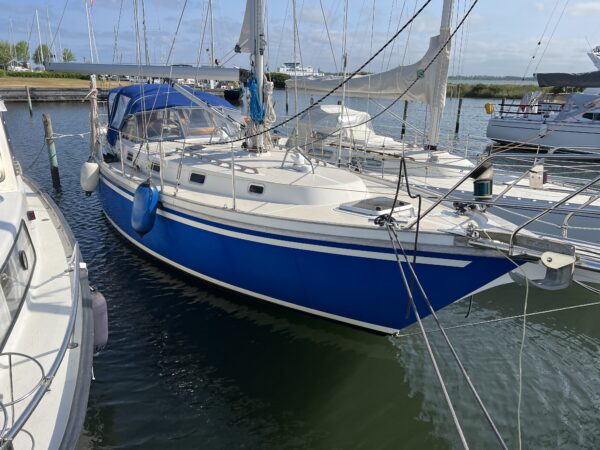 Møn 391