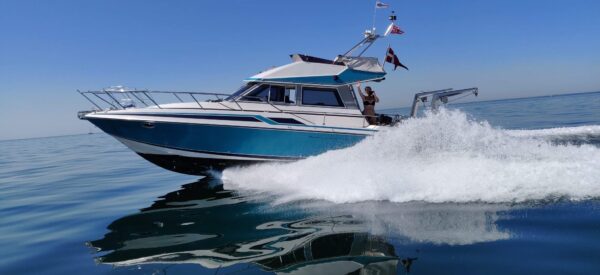 Sunseeker 35 Flybridge - Image 7