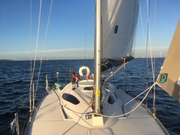 Delphia 28 Sport - Billede 17