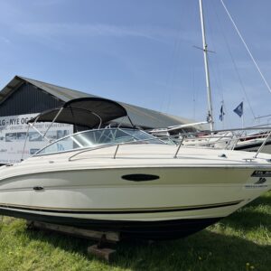 Sea Ray 215