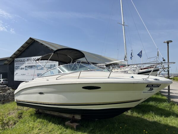 Sea Ray 215