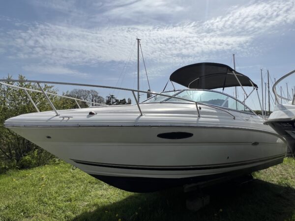 Sea Ray 215 - Billede 2
