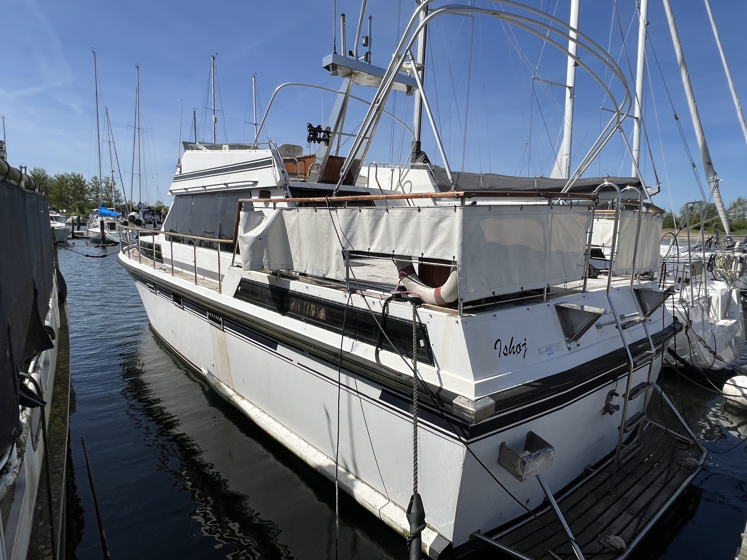 Neptunus 131 - Billede 2