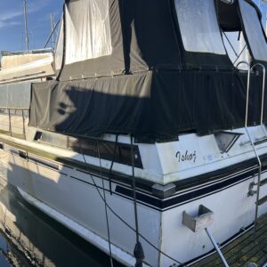 Neptunus 131