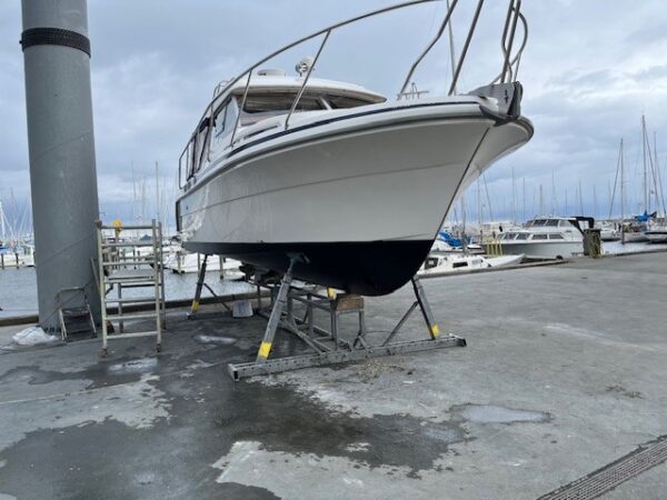 Saga 310 - Image 2