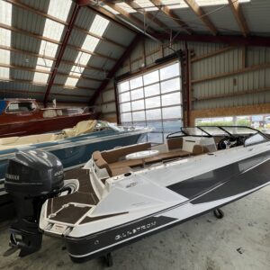 Glastron GTD 220